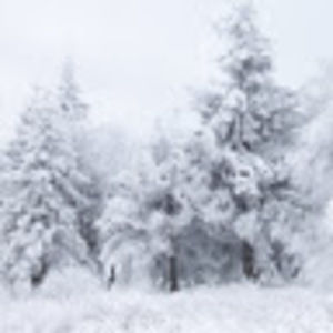 Meet your Posher, Ivan